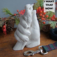 Load image into Gallery viewer, PAW-CAST A MEMORY-I Want That Now!