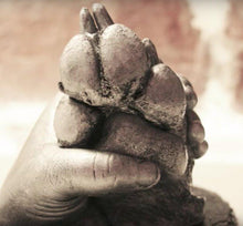 Load image into Gallery viewer, PAW-CAST A MEMORY-I Want That Now!