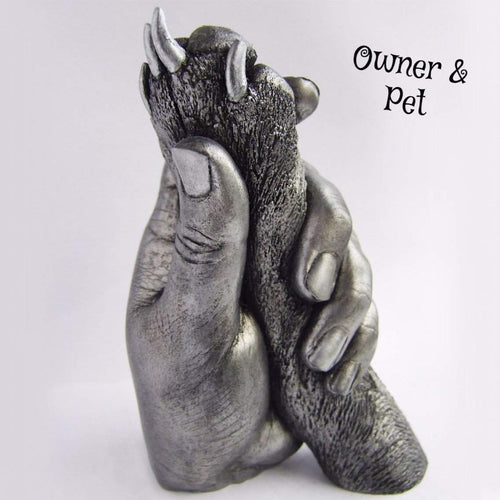 PAW-CAST A MEMORY-I Want That Now!