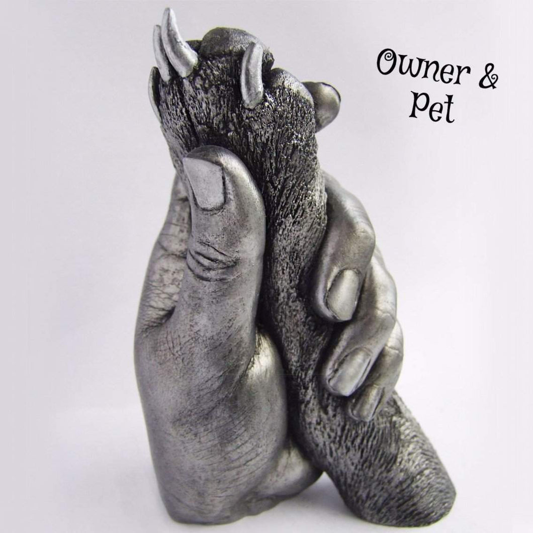 PAW-CAST A MEMORY-I Want That Now!