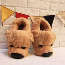 Load image into Gallery viewer, Dog Owner&#39;s Winter Slippers-I Want That Now!