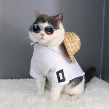 Load image into Gallery viewer, Cat Hawaiian Hat + FREE Sunglasses-I Want That Now!