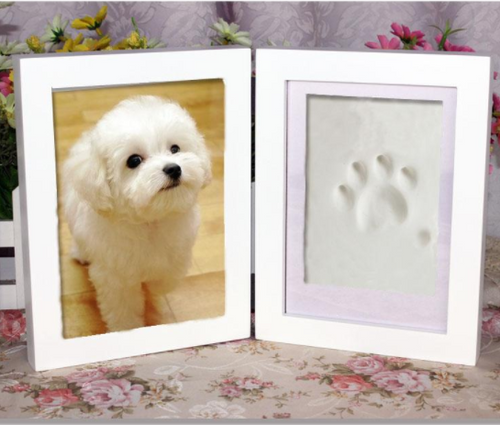 Paw Imprint Kit-I Want That Now!