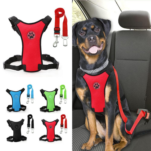 Dog Car Safety Seat Belt + Harness-I Want That Now!