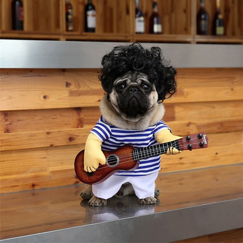 Guitarist Dog Costume-I Want That Now!