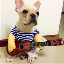 Load image into Gallery viewer, Guitarist Dog Costume-I Want That Now!