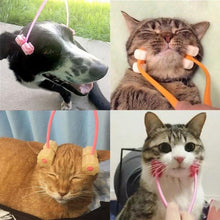 Load image into Gallery viewer, Dog Body Massager Tool-I Want That Now!